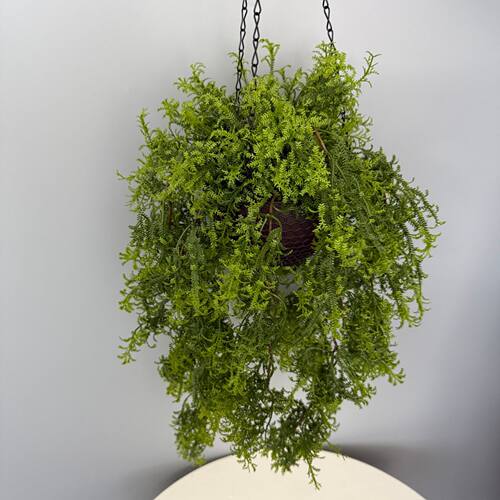 跨境仿真绿植墙装饰波斯蕨类扇叶海草室内壁挂绿植藤蔓植物苔藓草