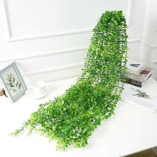 藤金钱叶藤条 朵条芙仿真酒植饰物尤加利壁挂藤蔓店墙壁吊顶装