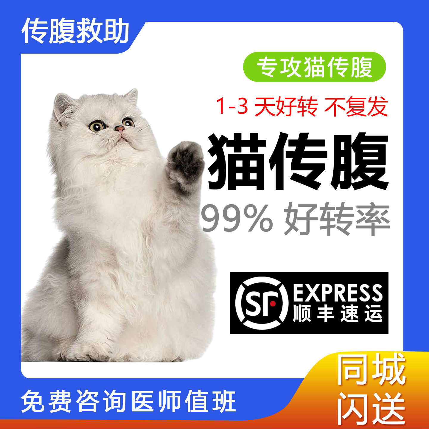 猫咪传腹针剂干性湿性油剂水剂腹膜炎抑制剂口服消腹水片剂营养液,宠物/宠物食品及用品,猫特色保健品,淘宝优惠券,粉丝福利购,淘宝优惠卷