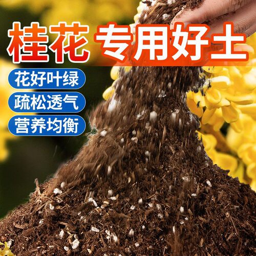 桂花适用土营养土养花种绿植发酵育苗土蔬菜盆栽有机透气增肥疏松
