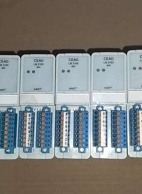CEAG模块 LB3105  5只，300议价
