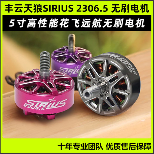 丰云天狼SIRIUS2306.55寸电机