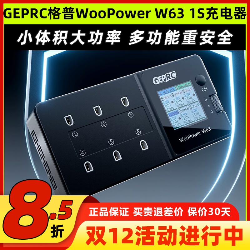 格普WooPowerw631s充电器