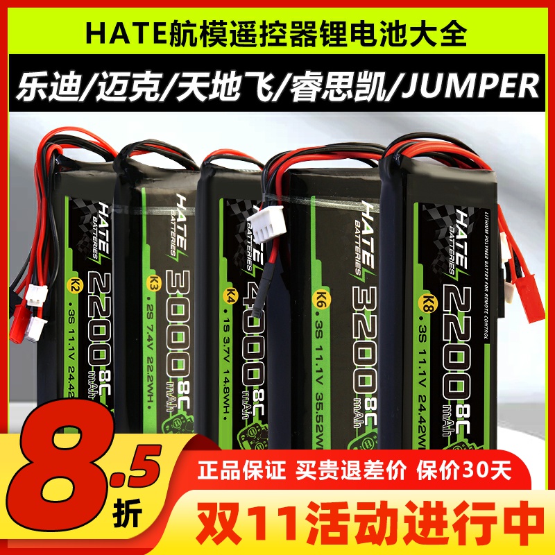 HATE遥控器电池乐迪天地飞迈克