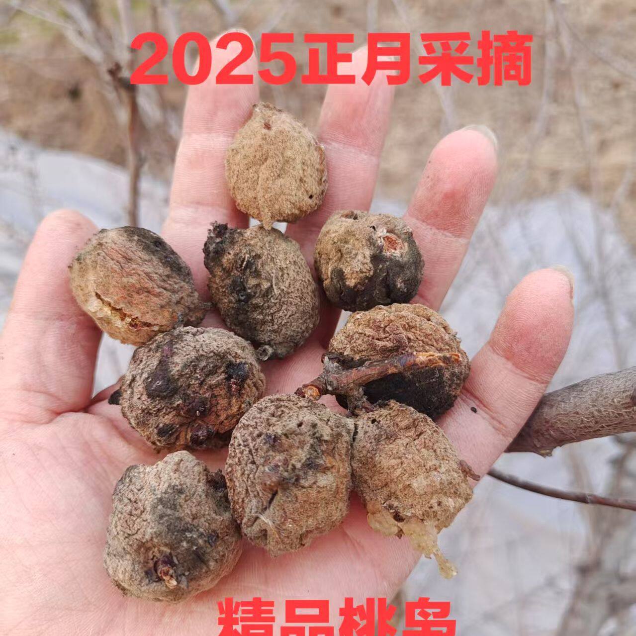 桃枭手串挂件儿童宝宝防压惊保平安桃奴东南枝野生毛桃核正宗正月