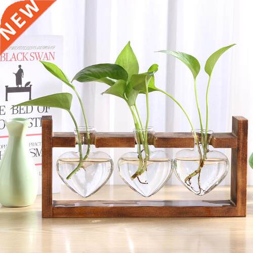 Wooden Frame Glass Vase Hydroponic Plant Vase Vintage Flower