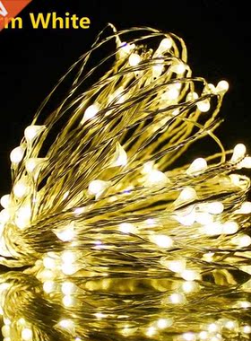Fairy Lights Copper Wire LED String Lights Christmas decorat