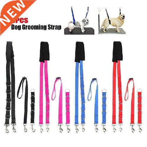 Harness Traction Noose 3pcs Restraint Bathing Puppy Dog