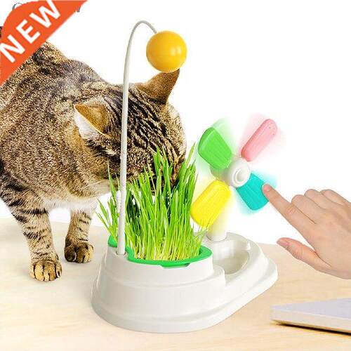 Teaser Ball Interactive for Indoor Cats Windmill Kitten