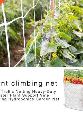 Me 5/10m Polyester Net Loofah Netting For Morning Glory