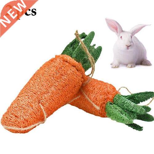 2PCS Cute Rabbit Hamster Carrot Shape Molar Toy Bite