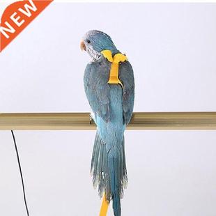 New Anti-bite Flying Training Rope Parrot Bird Pet Leash