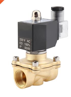 solenoid valve water normally close brass valves 220V12V24V