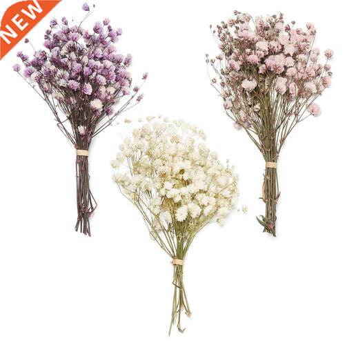 Mini Colorful Natural Real Flower Babysbreath Natural Fresh