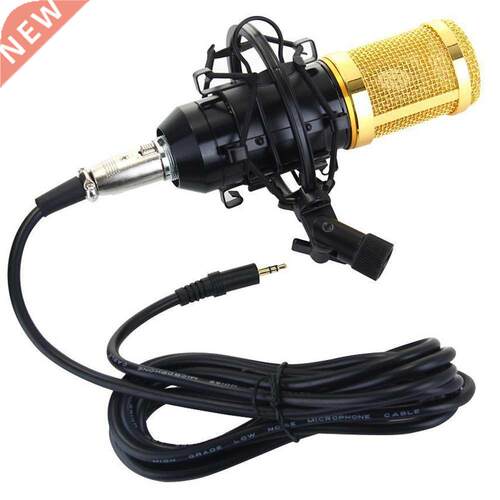 BM-800 Condenser Microphone Cardioid Pro Audio Studio Vocal
