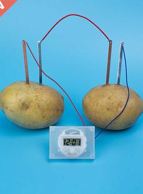 DIY Potato Clock Educational Montessori Materials Toys Nove