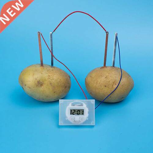DIY Potato Clock Educational Montessori Materials Toys Nove