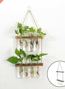 Wall Hanging Terrarium Flower Glass Planter Propagator for P