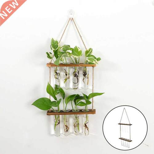 Wall Hanging Terrarium Flower Glass Planter Propagator for P