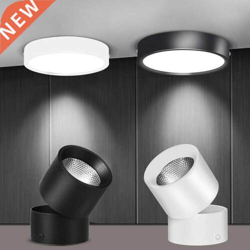 LED Downlights Spot Light 220V Led Spotlights Lamp 5/10/15/2