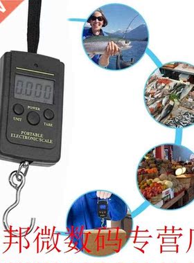 Hanging Hook Weighing Scales Portable Electronic Express Del