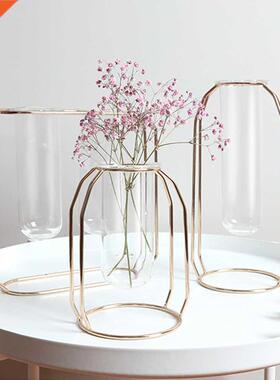 Nordic Creative Vase Home Decor Golden Glass Vase Hydroponic