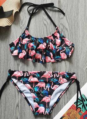 Flamingo Flounce Girl Swimsuit Kids 7-14 Years 2 Piece Child