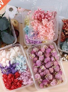 1 Box eal Dy Flowe Died lants Natual Coloful DIY