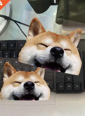 Personality iba Inu Pet Dog Funny Waterproof Reflective Ca