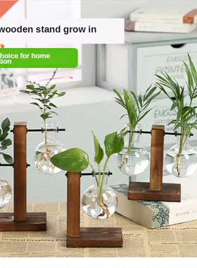 Terrarium Hydroponic Plant Vases Vintage Flower Pot Transpar
