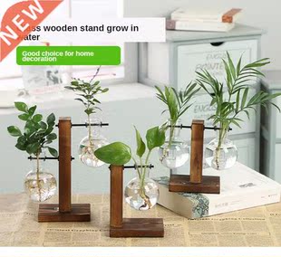 Terrarium Hydroponic Plant Vases Vintage Flower Pot Transpar