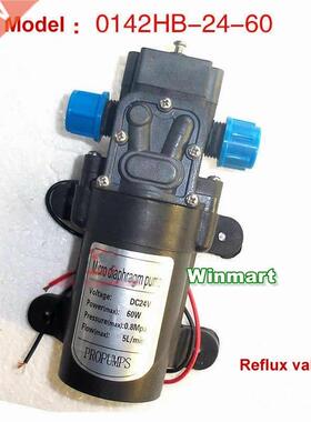 60W DC12V/24V Pipe connection Micro Diaphragm Water Pump Se