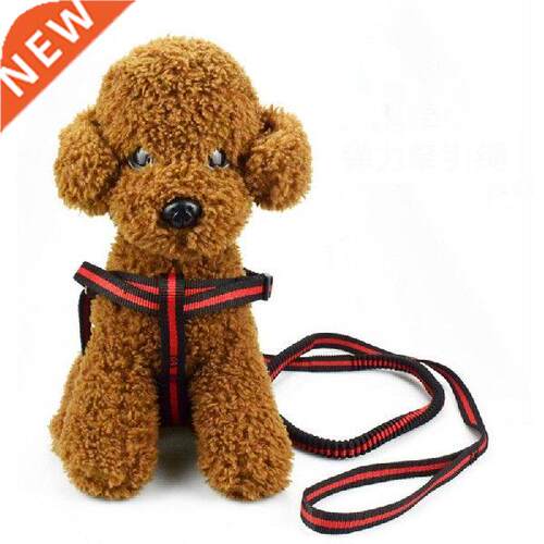 Personalized Pet Cat Puppy Dog Lea Anti Da Pull Dog
