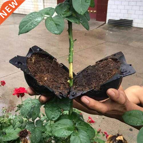 1 pcs Plant Rooting Ball Grafting Rooting Growing Box Breedi