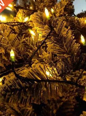 Outdoor Waterproof Light 8 Function Party Decoration Mini