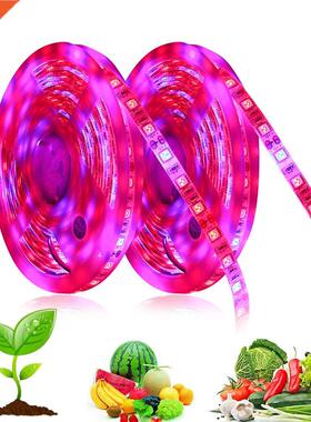Full Spectrum LED Grow Light Phytolamp Grow LED Strip 12V Fl