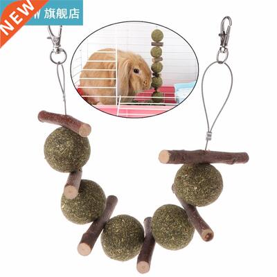 Pet Teeth Grinding Toys Hamster Rabbit Apple Tree Branch Gra