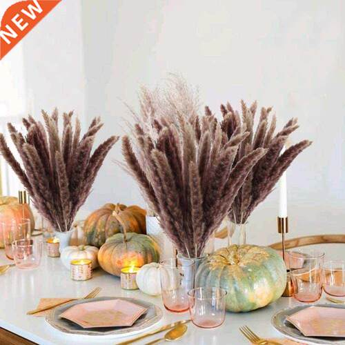 Dekoration 15Pcs Free ipping Dried Pampas Grass Decor Wedd