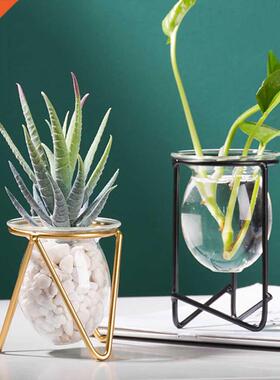 Terrarium Flower Vase For Home Hydroponic Plant Vase Glass C
