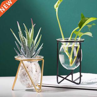 Terrarium Flower Vase For Home Hydroponic Plant Vase Glass C