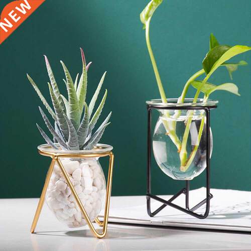 Terrarium Flower Vase For Home Hydroponic Plant Vase Glass C