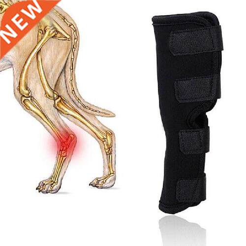 Pet Leg Care for Hind Leg Hock Joint Wrap 1PC New Dog Knee
