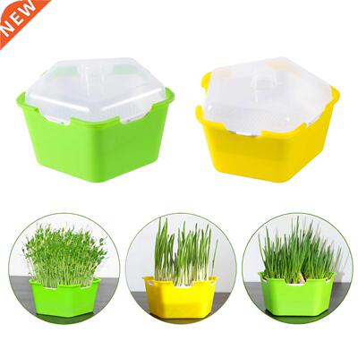 Pentagonal Plastic Sprout Planting Pot Box Bean Pea Sprouter
