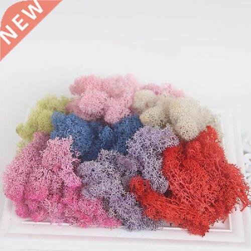 10g/pack Artificial plant Eternal Life Moss Home Garden