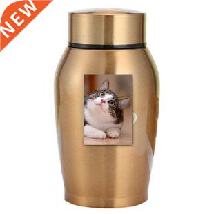 Small Urns For Human Ashes Memorials ainless eel Pet