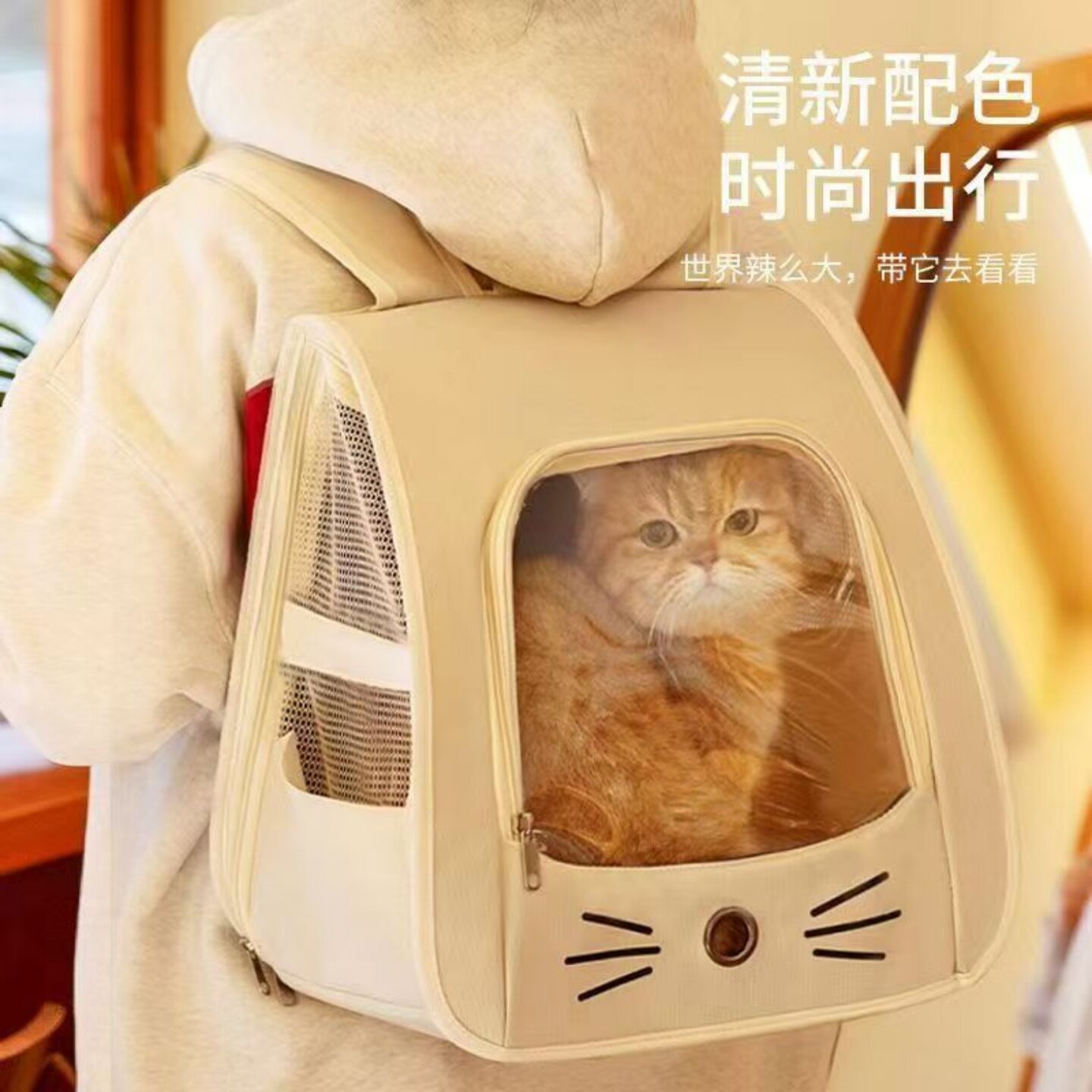 宠物外出猫咪狗狗双肩便携可折叠背包透气太空舱书包手提用品