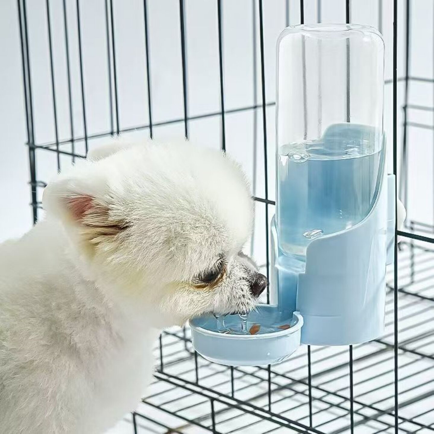 猫咪饮水机兔子食盆狗狗挂式水壶自动喂食喂水器狗宠物猫喝水用品
