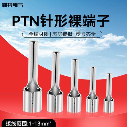 针形裸端头插针式接线端子PTN1/2/5.5-10/12/14线鼻子铜端子