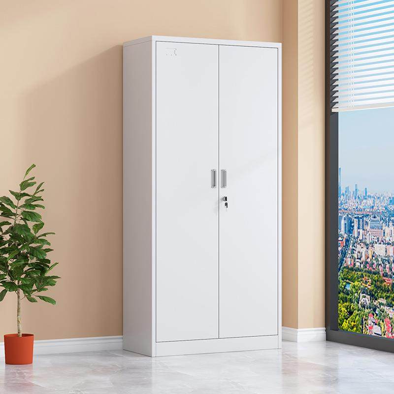 办公室对开门文件柜铁皮书柜收纳柜财务凭证档案资料带锁储物柜子,商业/办公家具,办公储物柜,淘宝优惠券,粉丝福利购,淘宝优惠卷