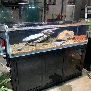 新款水草溪流缸水族箱底滤客厅超白玻璃兰寿背包侧溢流生态鱼缸不